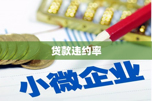中山贷款违约率