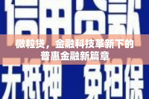 中山微粒贷，金融科技革新下的普惠金融新篇章