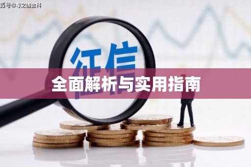 中山全面解析与实用指南
