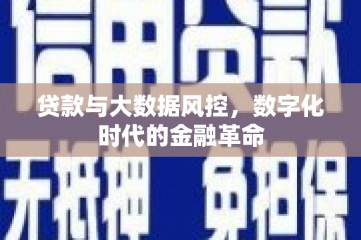 中山贷款与大数据风控，数字化时代的金融革命