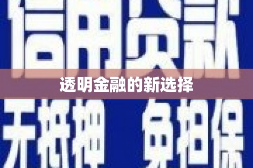 中山透明金融的新选择