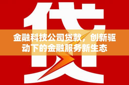 中山金融科技公司贷款，创新驱动下的金融服务新生态