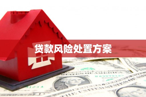 中山贷款风险处置方案
