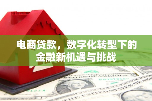 中山电商贷款，数字化转型下的金融新机遇与挑战