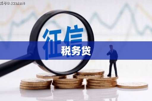 中山税务贷