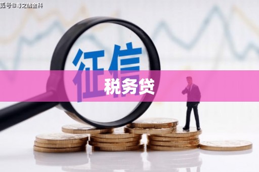 中山税务贷