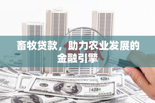 中山畜牧贷款，助力农业发展的金融引擎