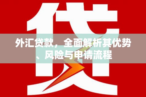 中山外汇贷款，全面解析其优势、风险与申请流程