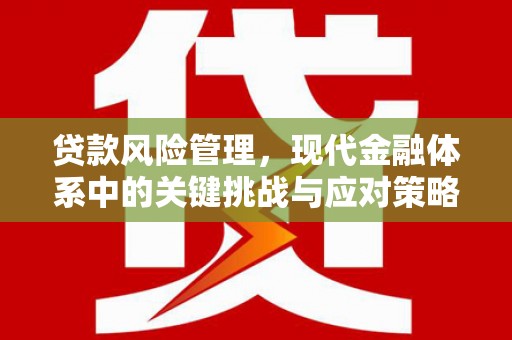 中山贷款风险管理，现代金融体系中的关键挑战与应对策略