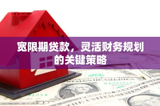中山宽限期贷款，灵活财务规划的关键策略