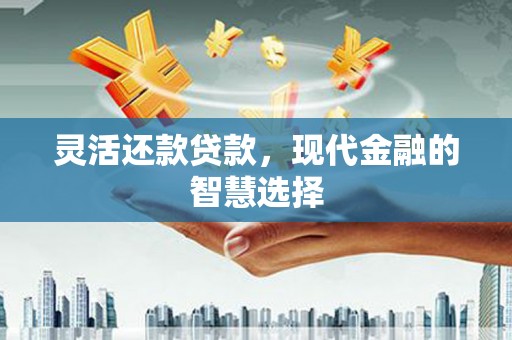 中山灵活还款贷款，现代金融的智慧选择