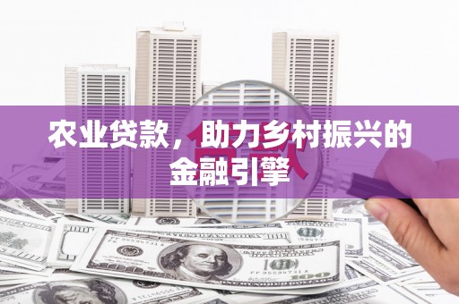 中山农业贷款，助力乡村振兴的金融引擎