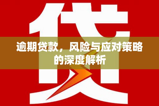 中山逾期贷款，风险与应对策略的深度解析