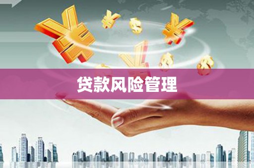 中山贷款风险管理