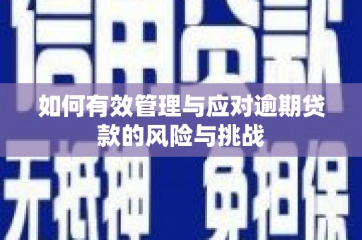 中山如何有效管理与应对逾期贷款的风险与挑战
