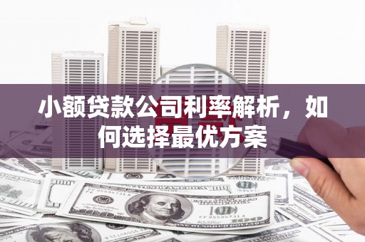 中山小额贷款公司利率解析，如何选择最优方案