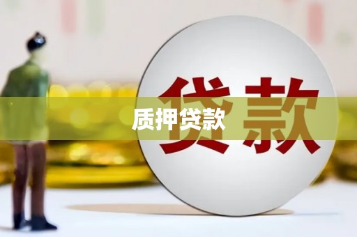 中山质押贷款