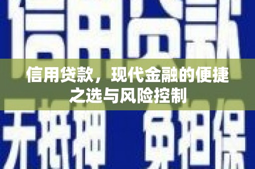 中山信用贷款，现代金融的便捷之选与风险控制
