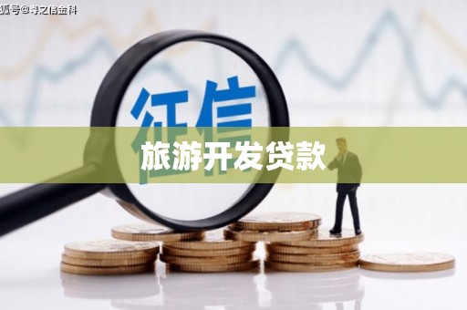 中山旅游开发贷款
