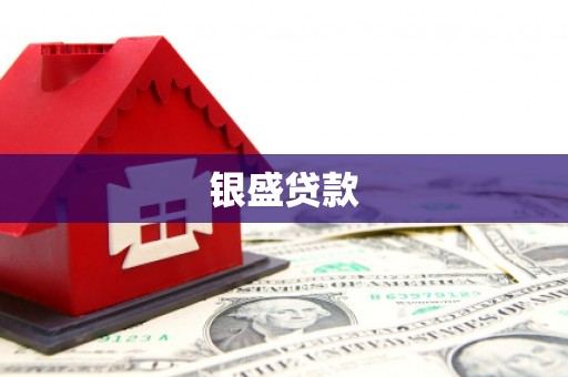 中山银盛贷款