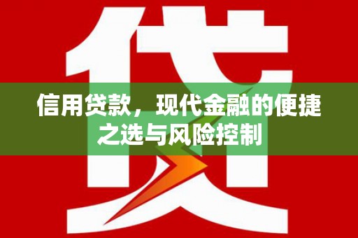 中山信用贷款，现代金融的便捷之选与风险控制