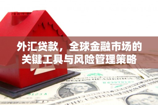 中山外汇贷款，全球金融市场的关键工具与风险管理策略