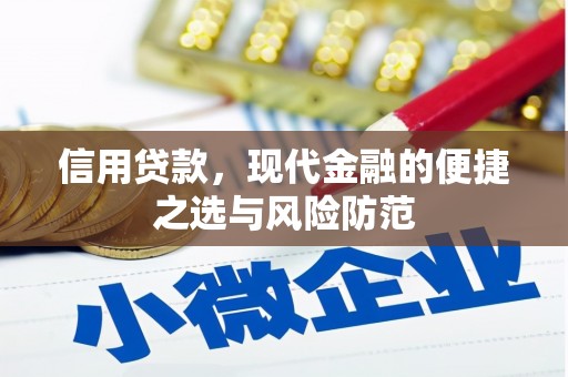中山信用贷款，现代金融的便捷之选与风险防范