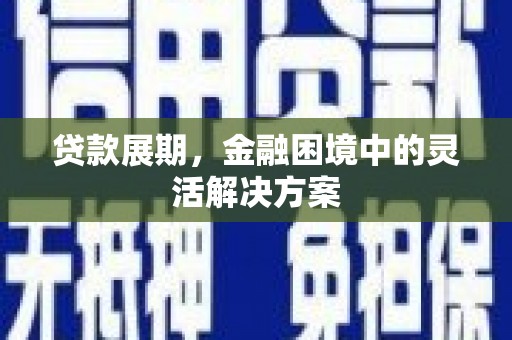 中山贷款展期，金融困境中的灵活解决方案