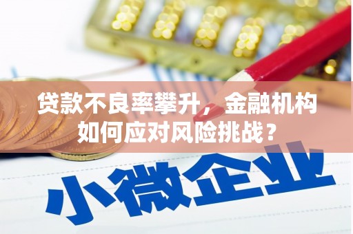 中山贷款不良率攀升，金融机构如何应对风险挑战？
