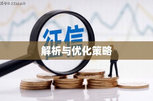 中山解析与优化策略