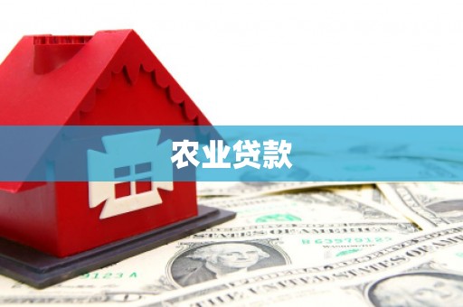 中山农业贷款
