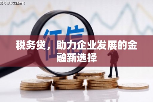 中山税务贷，助力企业发展的金融新选择