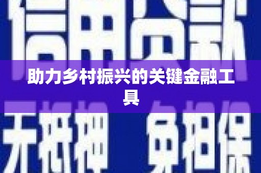 中山助力乡村振兴的关键金融工具