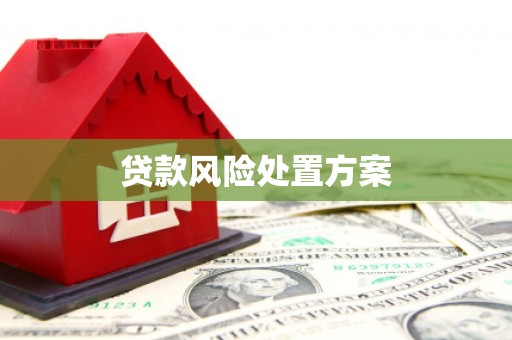 中山贷款风险处置方案