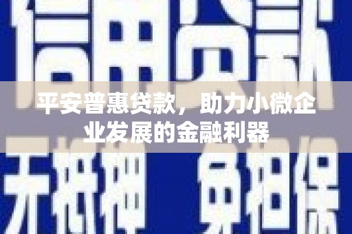 中山平安普惠贷款，助力小微企业发展的金融利器