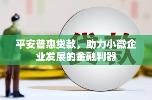 中山平安普惠贷款，助力小微企业发展的金融利器