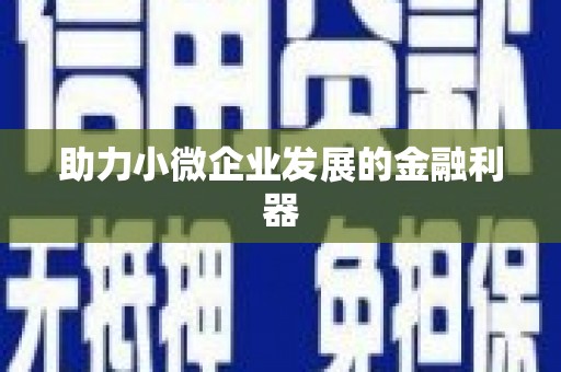 中山助力小微企业发展的金融利器