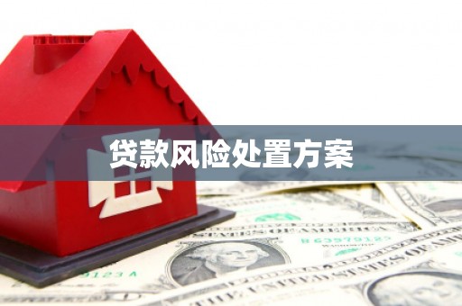 中山贷款风险处置方案