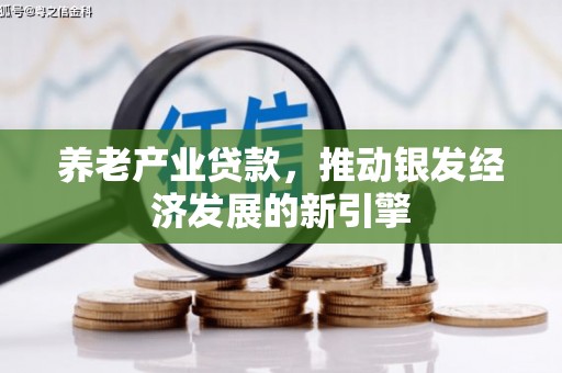 中山养老产业贷款，推动银发经济发展的新引擎
