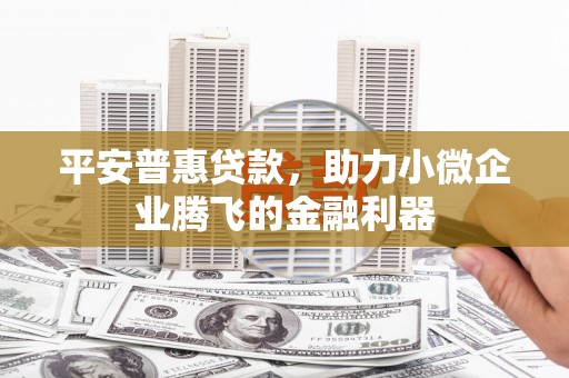 中山平安普惠贷款，助力小微企业腾飞的金融利器