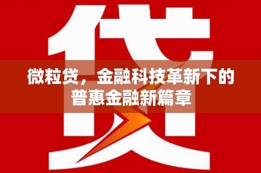中山微粒贷，金融科技革新下的普惠金融新篇章