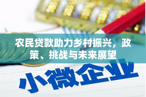 中山农民贷款助力乡村振兴，政策、挑战与未来展望