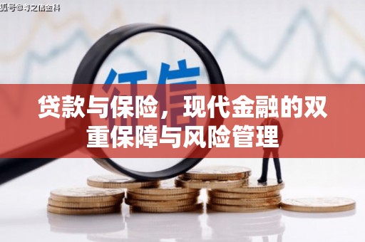 中山贷款与保险，现代金融的双重保障与风险管理
