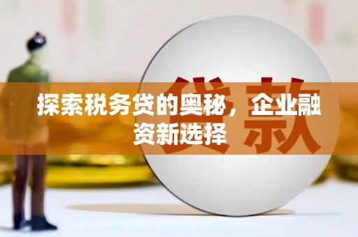 中山探索税务贷的奥秘，企业融资新选择