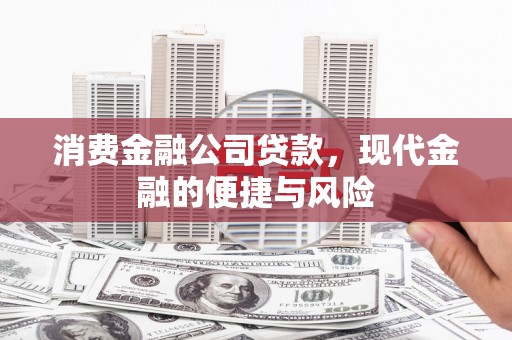 中山消费金融公司贷款，现代金融的便捷与风险