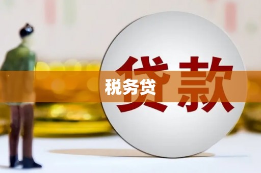 中山税务贷