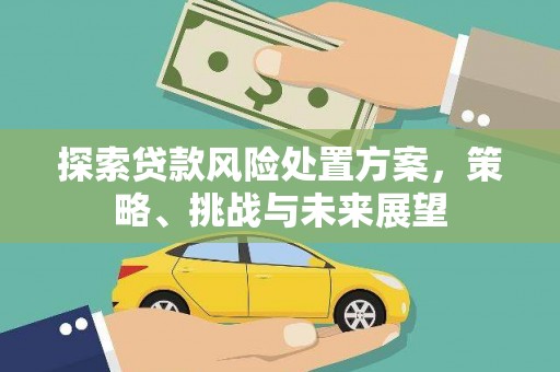 中山探索贷款风险处置方案，策略、挑战与未来展望