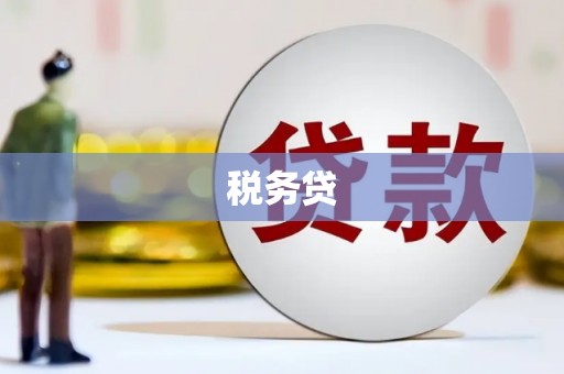 中山税务贷