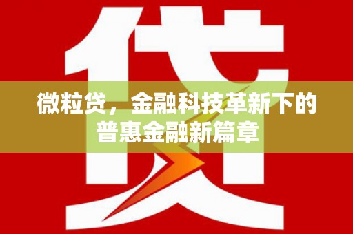 中山微粒贷，金融科技革新下的普惠金融新篇章