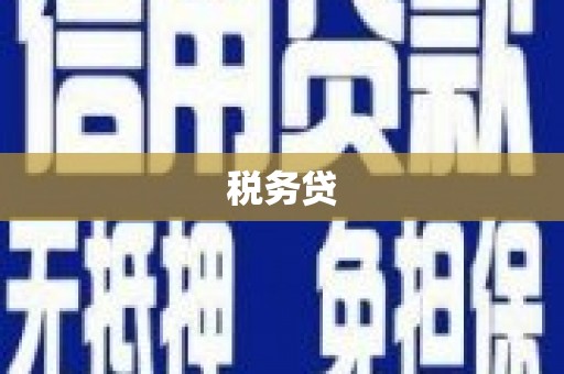 中山税务贷